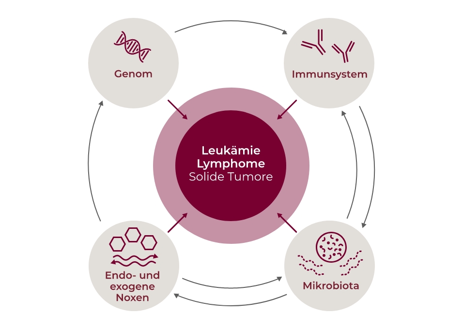 Primäre Immundefekte erhöhen das Risiko maligner Erkrankungen, vor allem Lymphomen.[28]