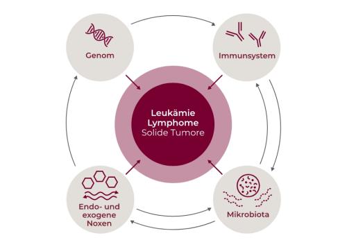 Primäre Immundefekte erhöhen das Risiko maligner Erkrankungen, vor allem Lymphomen.[28]